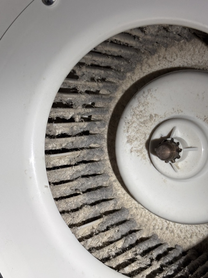 Dust and mould on the blower fan of Rebecca C.'s split system, photographed by the customer